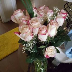 Meet your Posher, Terry